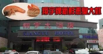 鑫禾饭店爆料视频,一场关于美食与真相的较量  第3张